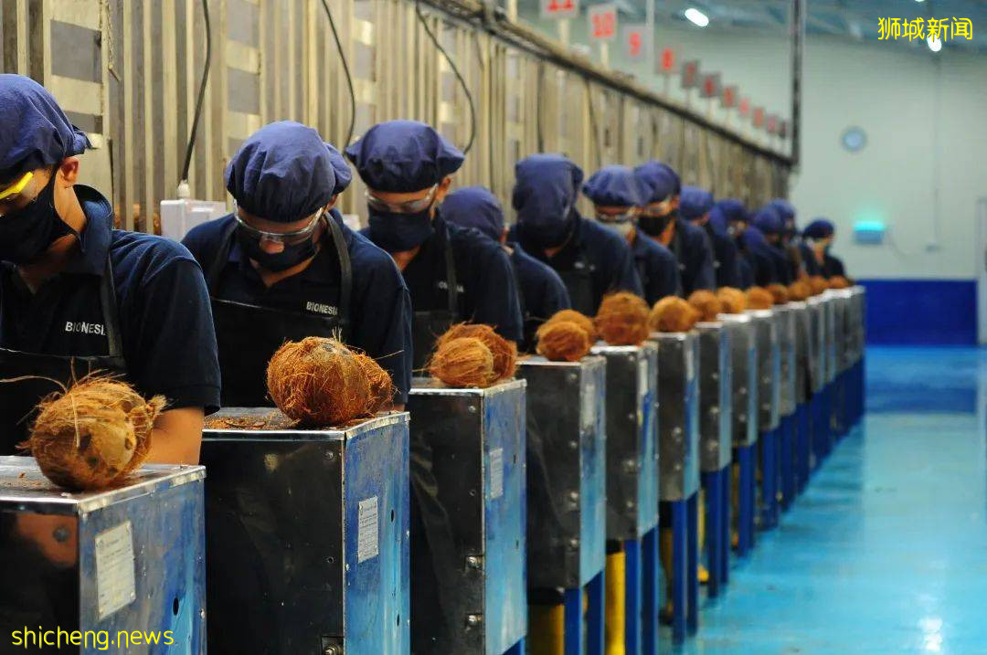 全球制造商的首选:在新加坡与印尼建立姐妹基地