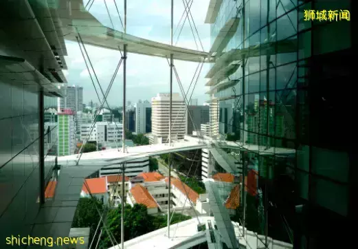 新加坡竟有這麽多各具特色的小衆圖書館！快來一起漫遊書海吧