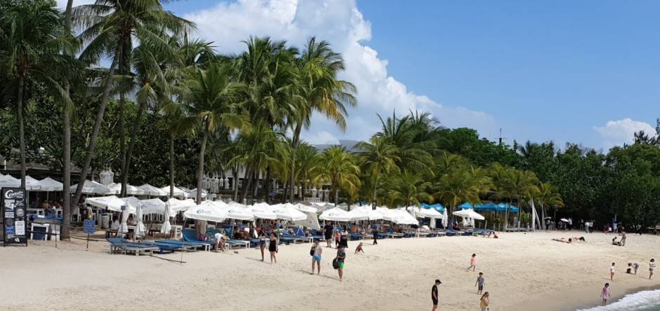 新加坡30多間孩子喜歡的餐廳，自帶免費遊樂場！樹屋、蹦床、攀岩、秋千都有（上）