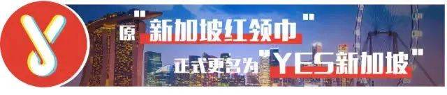擁車證價格創今年新高!在新加坡買輛車到底要花多少錢