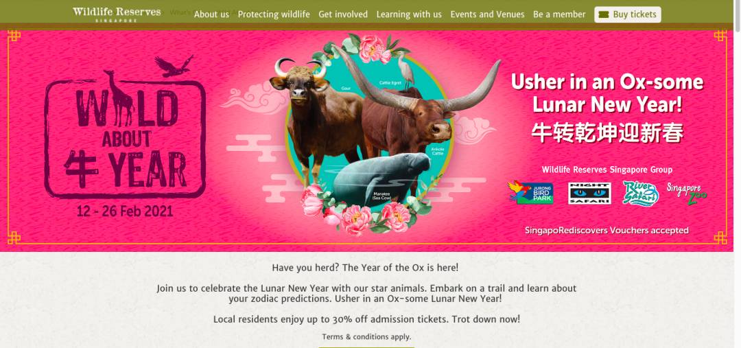 過年去哪兒玩 ? 新加坡春節精彩活動大盤點