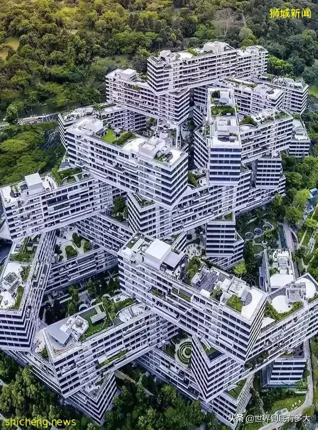 45张照片,带你见识新加坡,不为人知的另一面