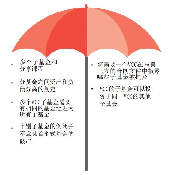 新加坡基金公司之可变动资本公司