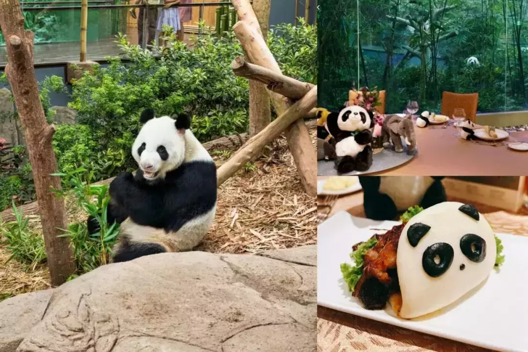 【周末去哪】Kiztopia门票买2送1!插年宵花、免费韩餐、Marché5折、屈臣氏6折