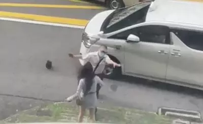 女子出中指 飞脚 挑衅德士佬被掴