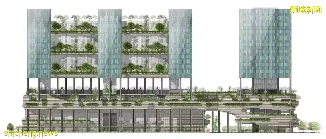 新加坡皮克林賓樂雅花園酒店 / Tierra Design (S) Pte Ltd