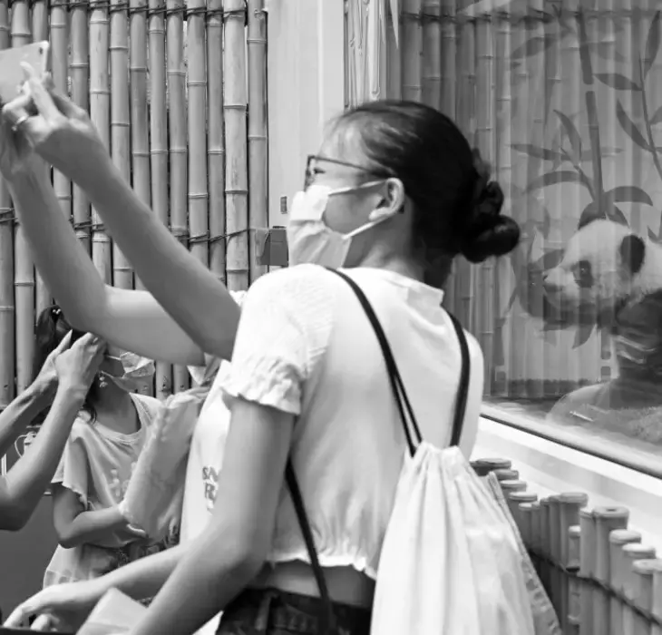 對不起,新加坡變了!“2021年最後一天,我突然想起這50個瞬間”