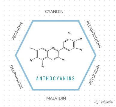 除了口罩和消毒液,在新加坡還能怎麽保護我們的孩子