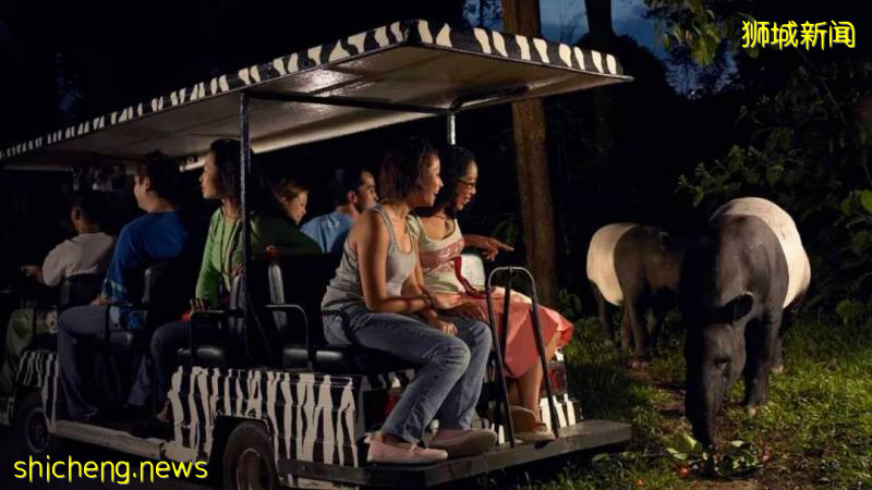 新加坡の十件趣闻,你知道吗