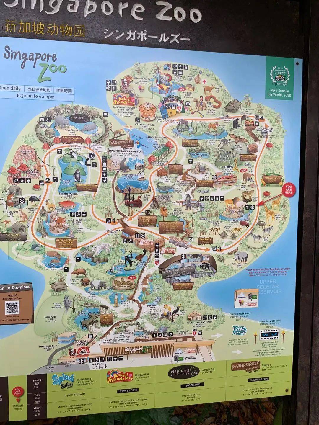 行走獅城——新加坡動物園