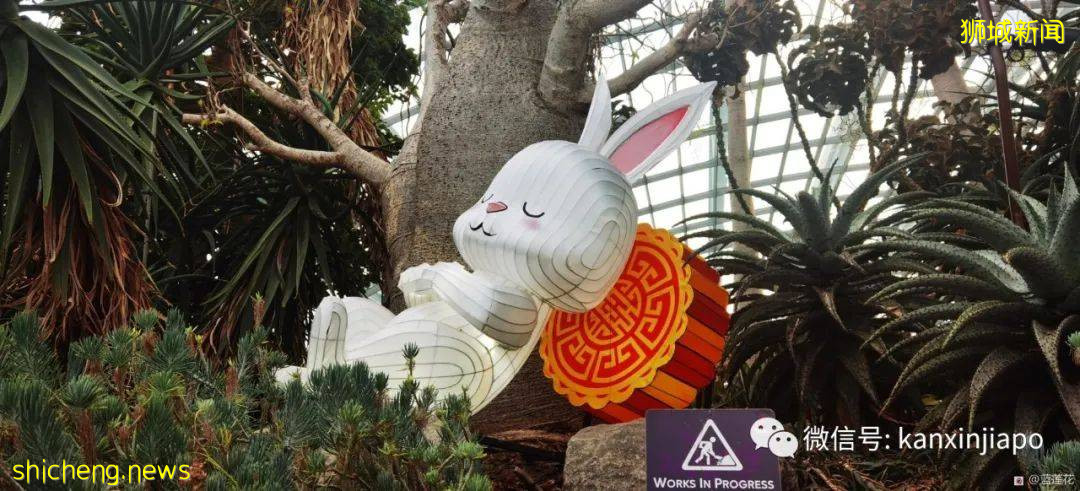 新加坡親子好去處！濱海灣～花穹～雲霧森林～空中步道半日遊