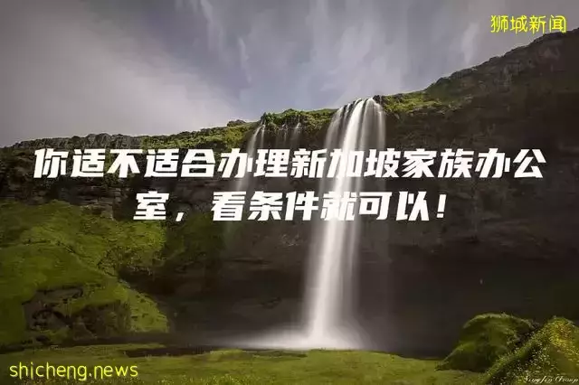 你适不适合办理新加坡家族办公室，看条件就可以