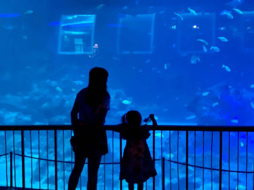 厉害了!他们居然将半个夏威夷搬来了新加坡