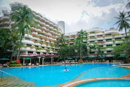 最近!新加坡全城爲它陷入瘋狂,這首中國人聽著長大的歌,被改得太洗腦了