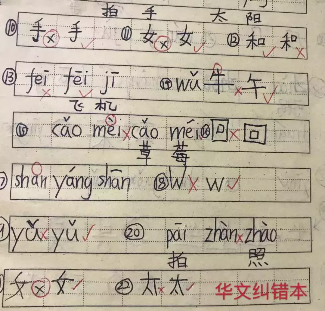 刷屏！新加坡一年一度開學大戲上演！好多家長和孩子淩晨4點就醒了