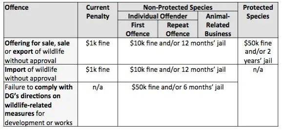 別在 NTU 餵豬了!新加坡的野生動物可不好惹