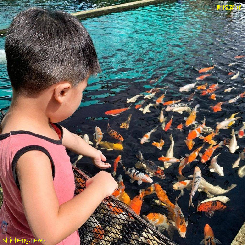 攻略收好、出發開啓親近動物之旅🦩從白天玩到晚上、10大景點近距離接觸小動物