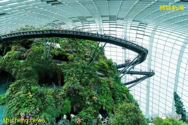 多味缤紛新加坡，旅遊攻略收藏貼