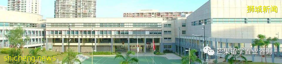 了解新加坡公立/私立/國際學校、理工/藝術/教育模式