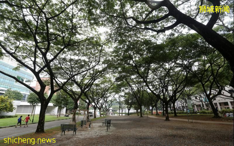 多美歌格林特设园区 庆赞我国女性的贡献