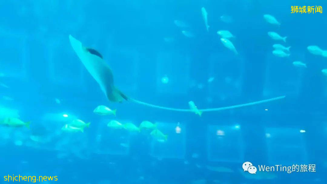 新加坡（4）遊樂園