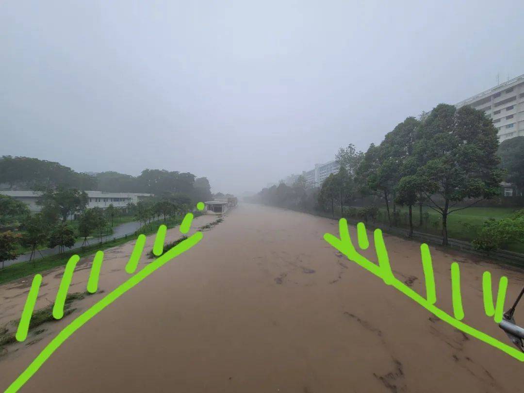 昨天!新加坡遭40年来最强暴雨袭击,全岛多处被洪水淹没,驾车犹如水中行船