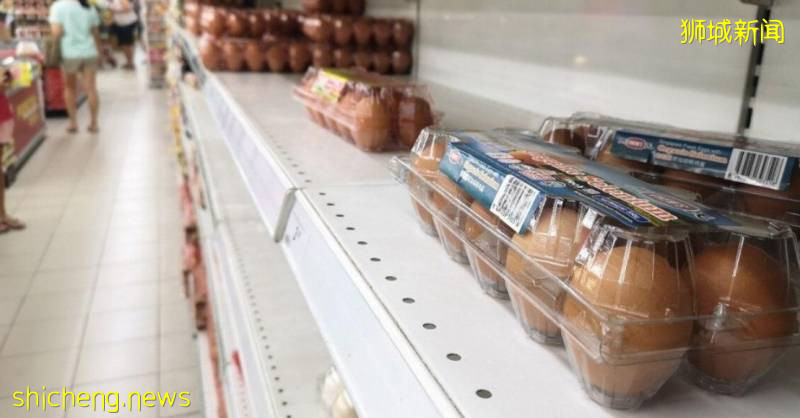 可惜!進口過多新加坡扔掉25萬個雞蛋!