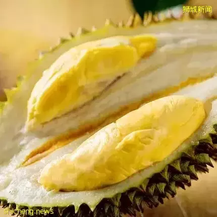 新加坡榴梿季来了啊啊啊!本地人吃榴梿秘籍,这7家最便宜