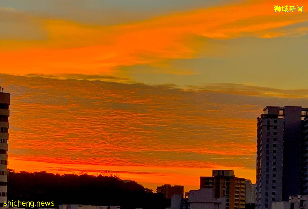 刷屏！黑雲壓城、電閃雷鳴...大雨前的新加坡超有“大片感”
