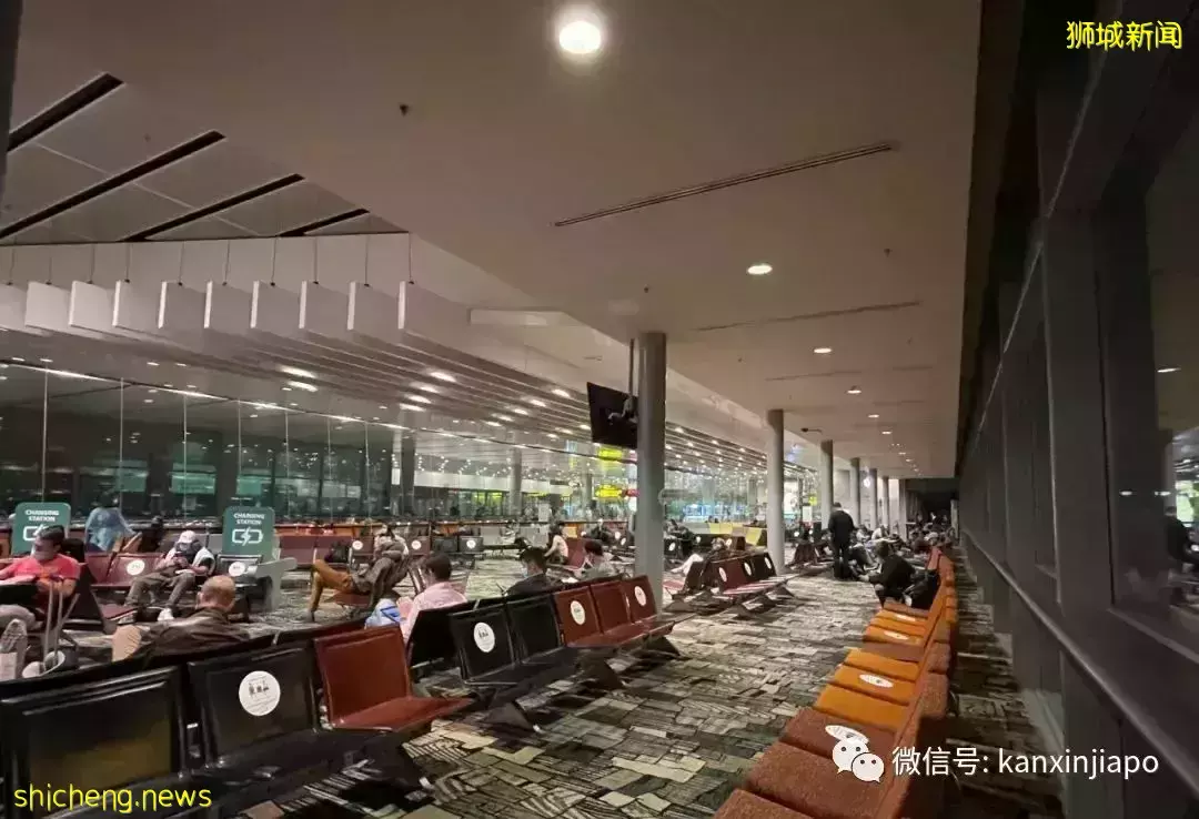 新加坡VTL突然喊停售票,疫情下出国游巴黎来之不易