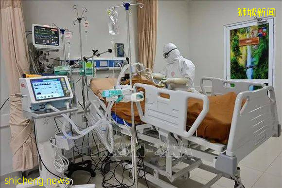 印尼淪陷!日增近4萬例、上千人死亡!警察扮鬼、民衆搶牛奶,新加坡送救援物資