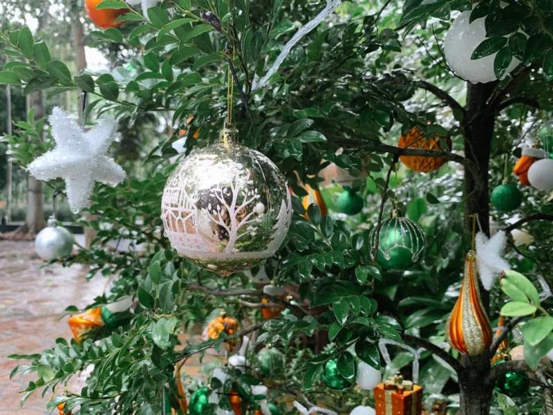 不喜歡人擠人？來新加坡植物園看聖誕燈飾、“世界之樹”吧！入場免費