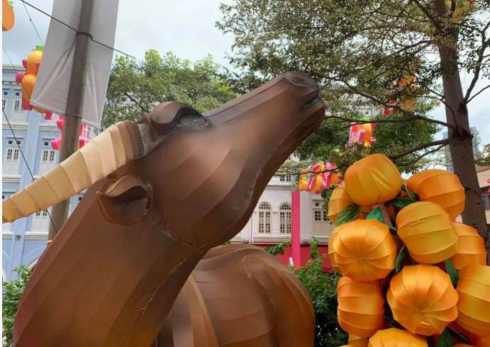 新加坡唐人街解鎖網紅打卡新姿勢,網友:滿滿的豐收味兒