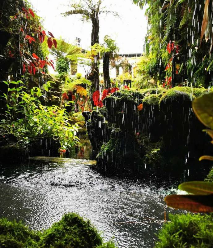 最後悔的一次旅遊經曆:新加坡