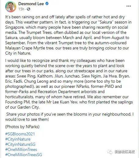 新加坡也有“櫻花”？看看當地領導們如何當起賞花向導