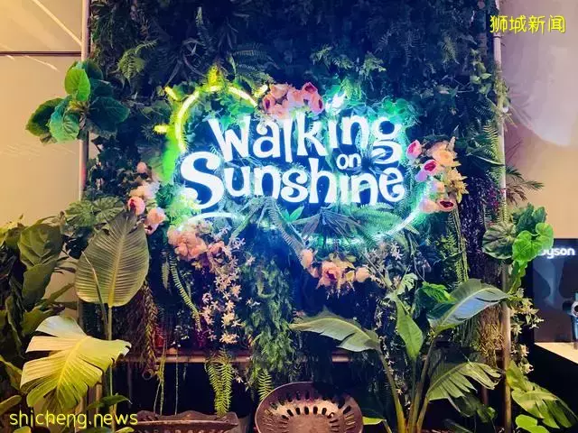 吃遍新加坡 第43期:藝術感十足的小資Café