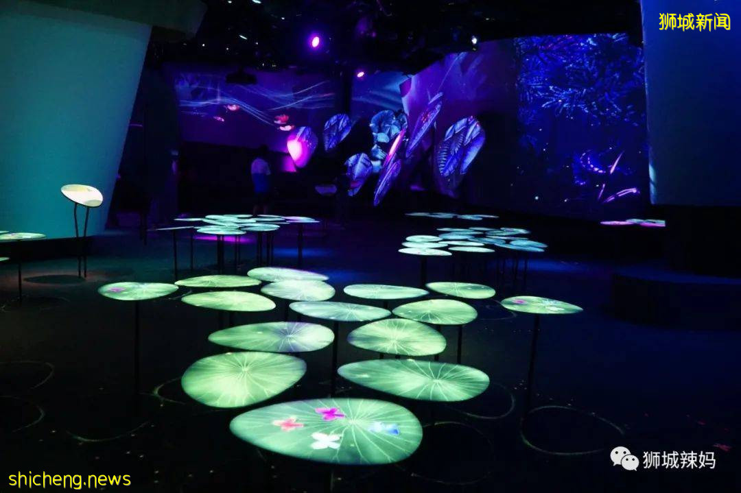 沖上雲霄！僅$75就能體驗開飛機的感覺！新加坡這間飛行學校太贊了