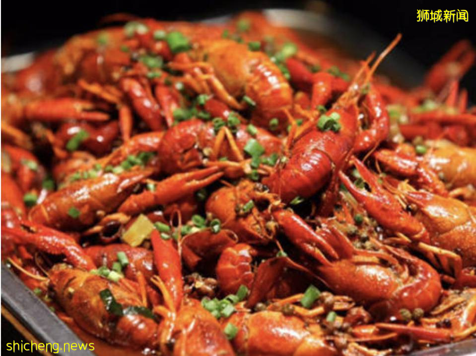 NTU夜宵专属 东北菜馆,吃的豪爽又过瘾