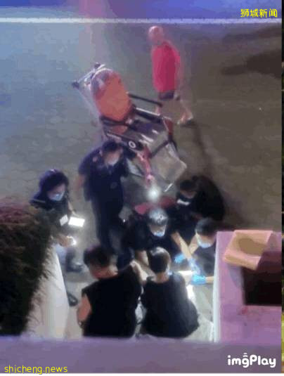 新加坡驚現人臉貓頭鷹！這些恐怖小動物，你碰到過嗎