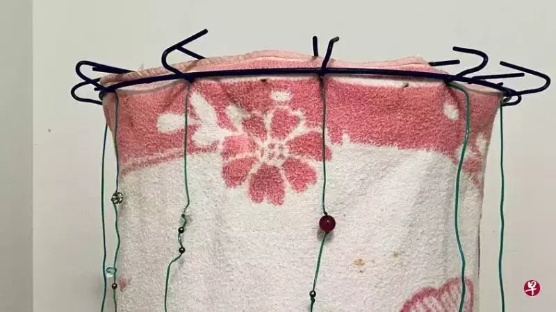 新加坡一月看展指南大放送