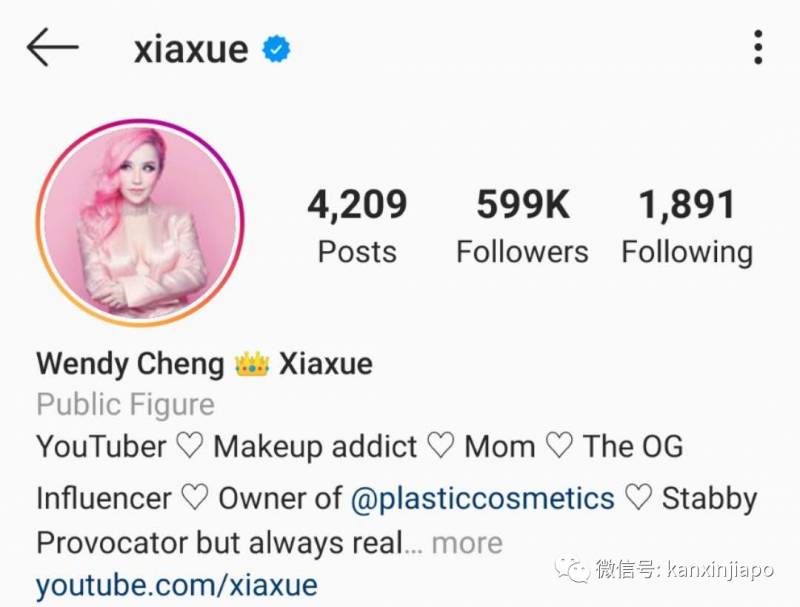 新加坡网红在反对党执政选区生活:“确实与众不同”