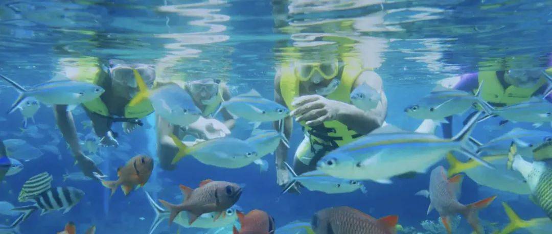 遛娃胜地新加坡!盘点那些让娃流连忘返的主题乐园