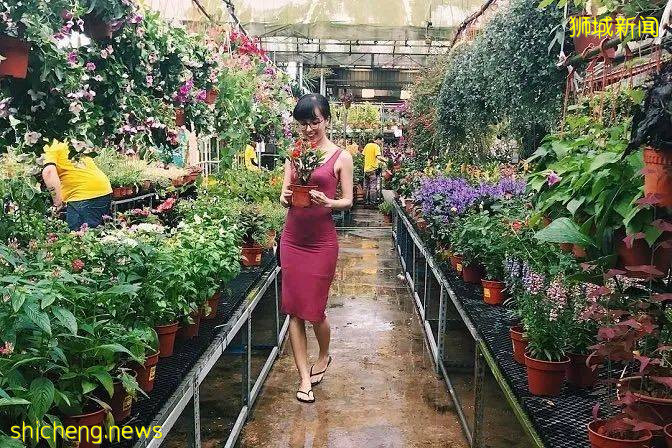 新地铁站开通!步行几分钟,10个超赞的吃喝玩乐活动