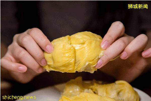 狮城榴梿季拉开序幕!该去哪里组个榴梿局呢