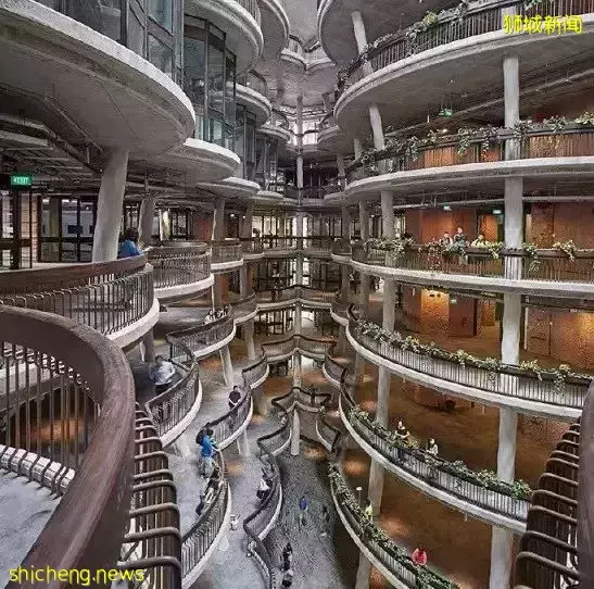 新加坡的這些高顔值的學校,你想來嗎