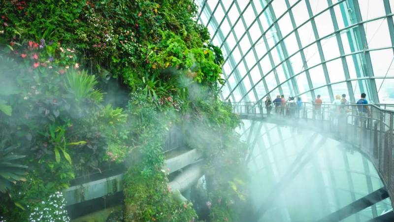 走，去“花園中的城市”新加坡賞櫻