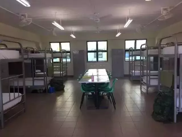 新加坡服兵役:本地公民、PR和新移民之間的區別大嗎