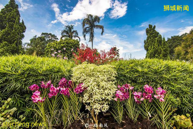 新加坡僅相當于馬來西亞的459分之一,GDP卻超過,旅遊熱度一直高!