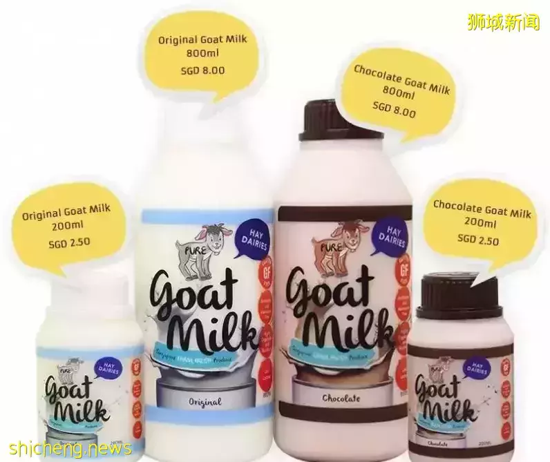 《即刻隨心所想，心想獅城》新加坡生態遊系列2