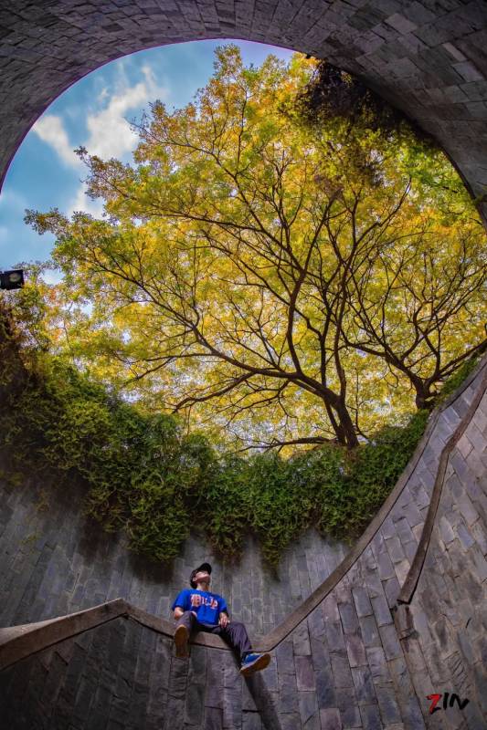 这座网红美照最多的小山,承载着新加坡那段血与火的历史
